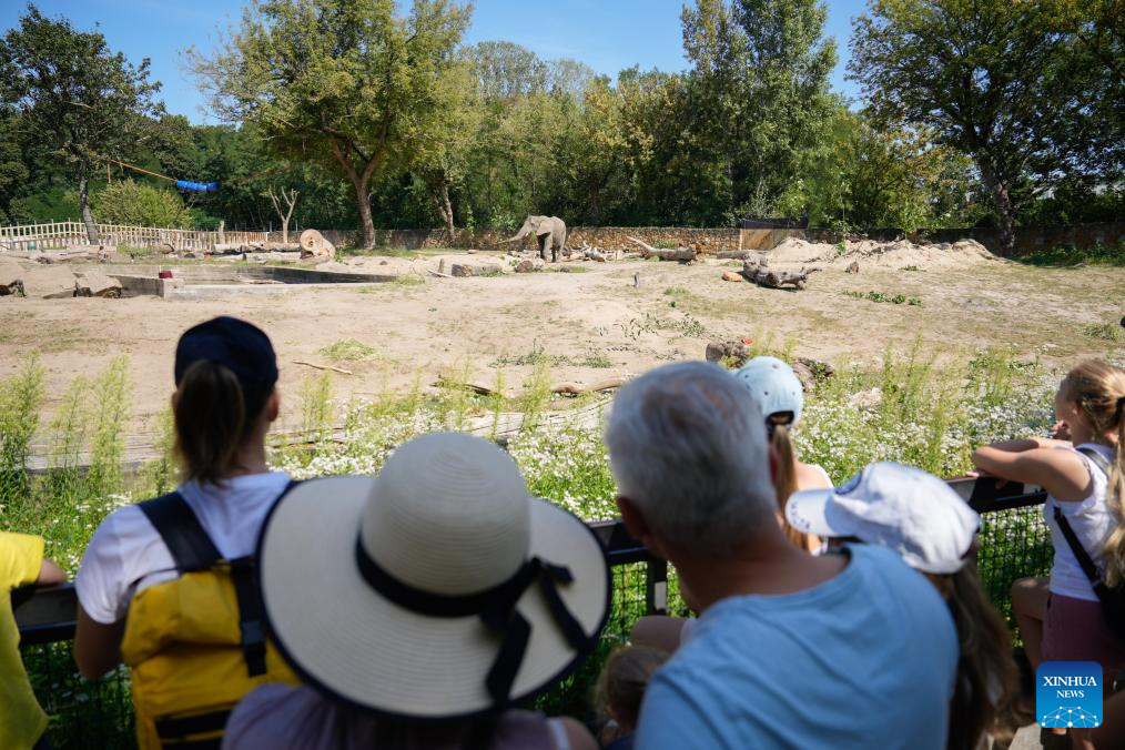 Warsaw Zoo in Poland holds special activities to mark World Elephant Day