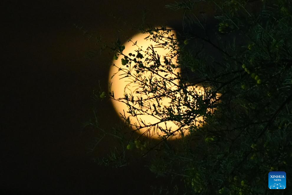 In pics: full moon across world