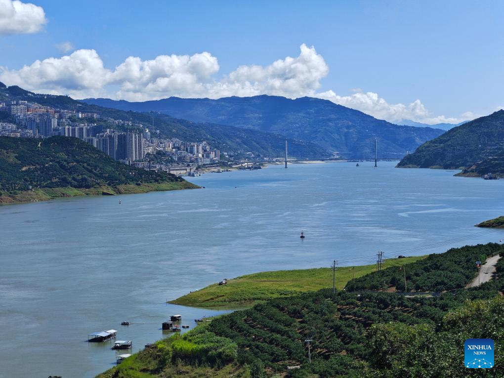 Across China: A peel of green fortune on the banks of Yangtze River