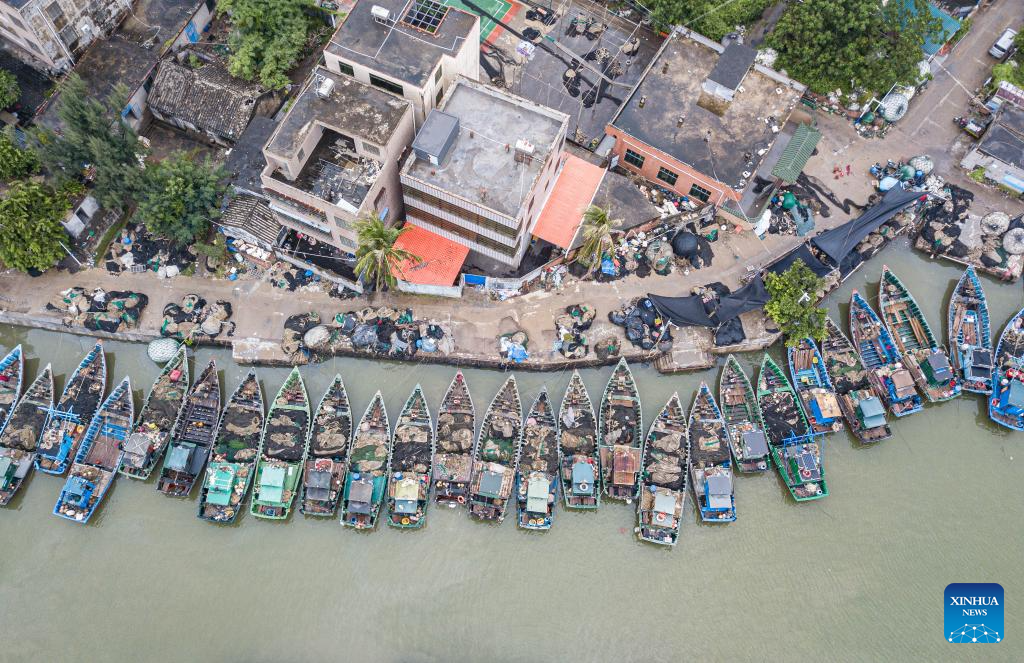 Fishing suspended due to tropical depression in China's Hainan
