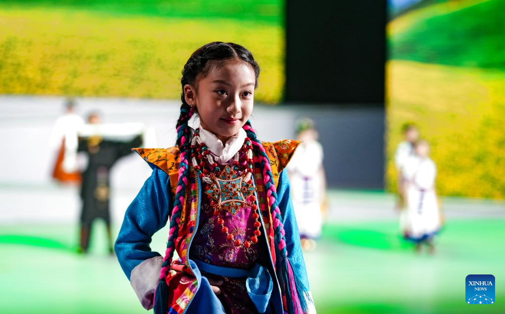 Pic story: inheritor of Lhasa costume making technique in China's Xizang