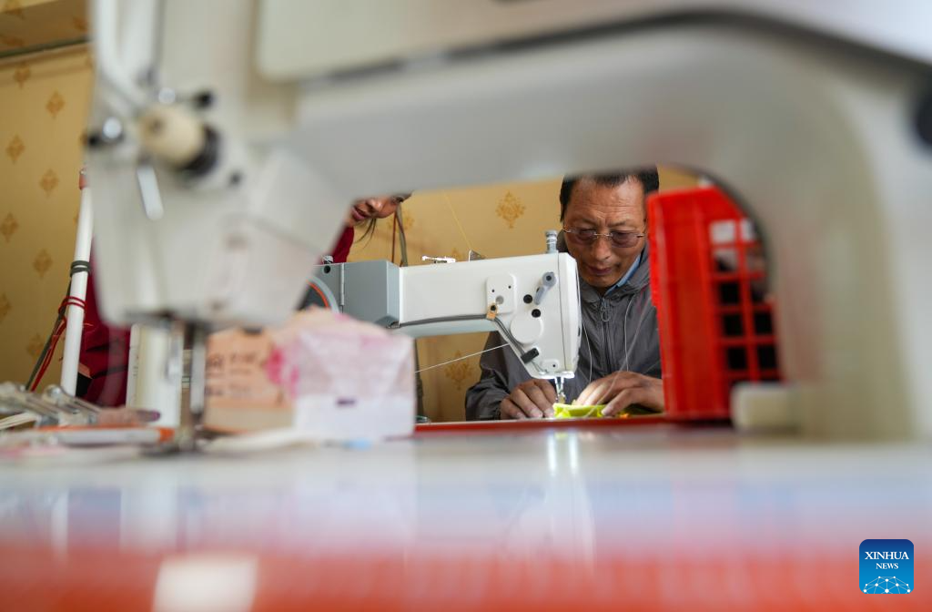 Pic story: inheritor of Lhasa costume making technique in China's Xizang