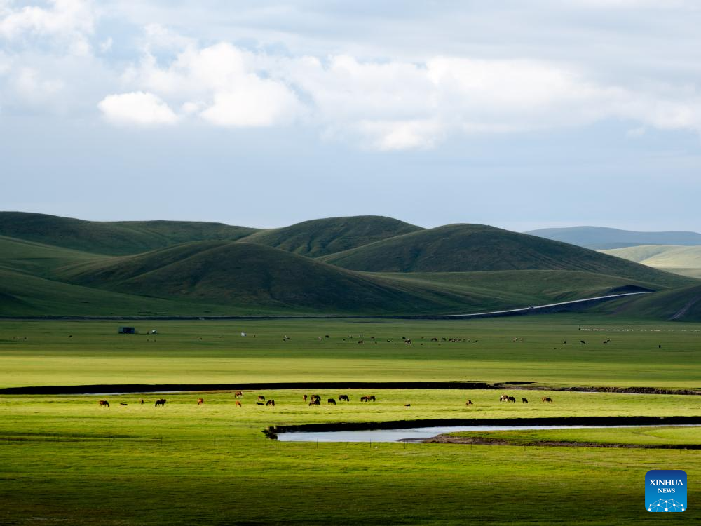 Scenery along Mergel Gol River in China's Inner Mongolia