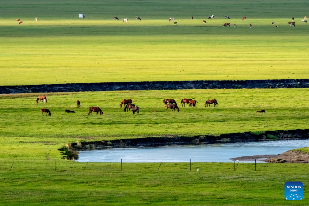 Scenery along Mergel Gol River in China's Inner Mongolia