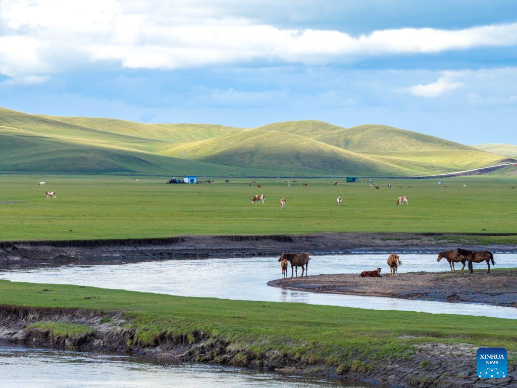 Scenery along Mergel Gol River in China's Inner Mongolia