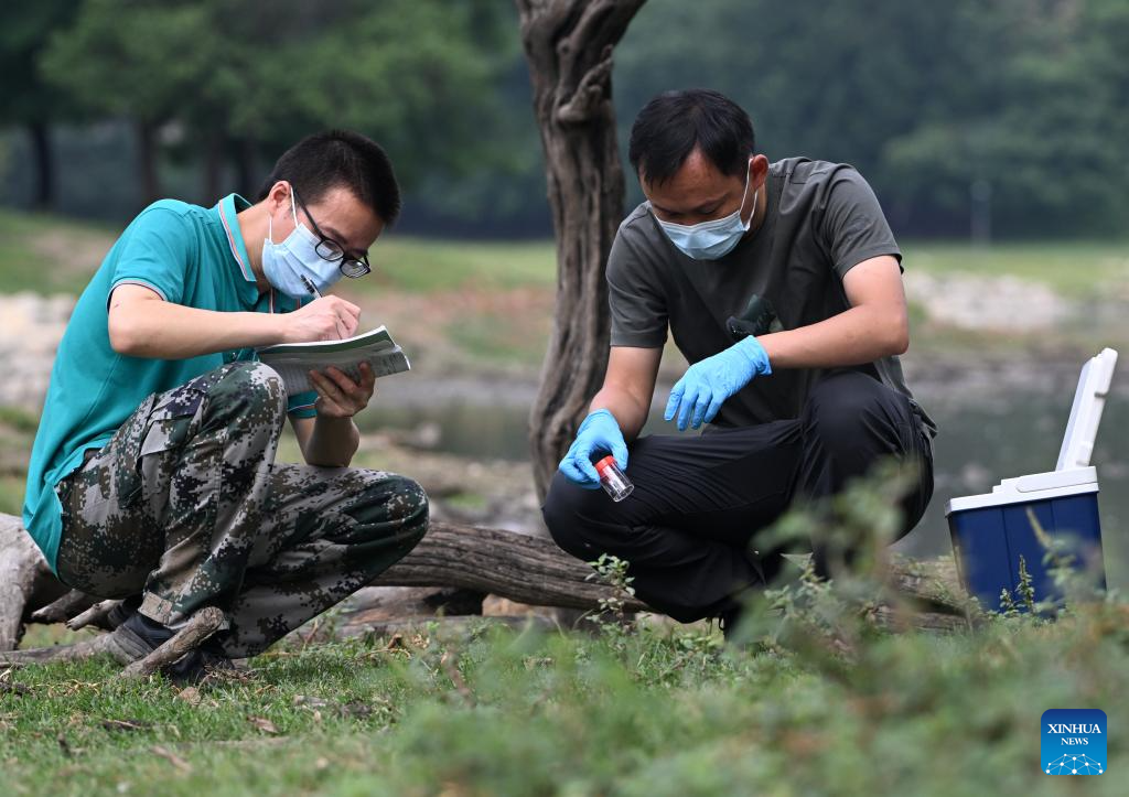 In pics: Wild populations of Milu deer reestablished in China after 40 years of conservation efforts