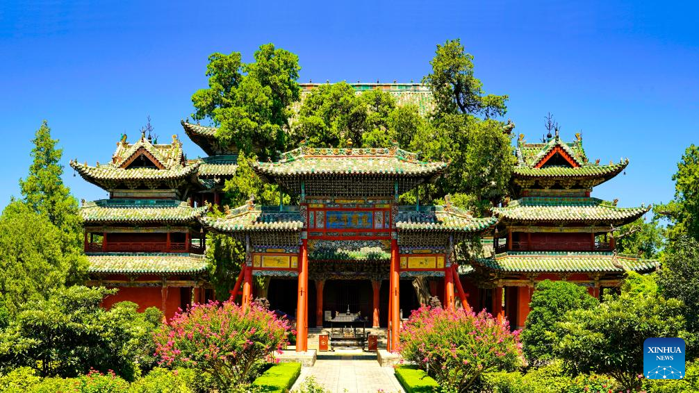 Across China: Ancient trees stand tall thanks to better protection