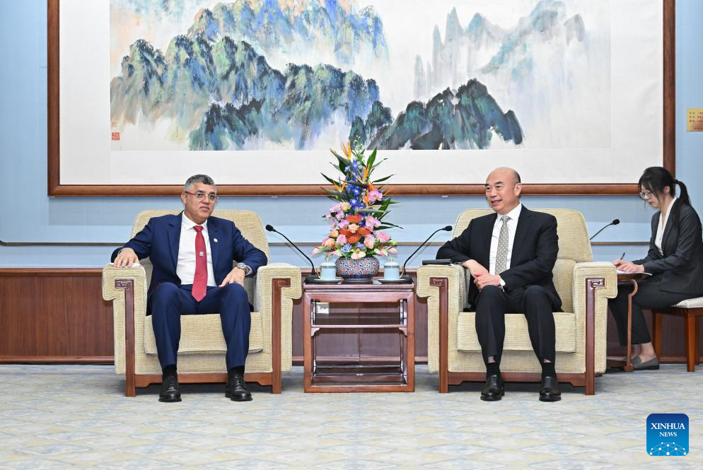 Chinese vice premier meets WMO president