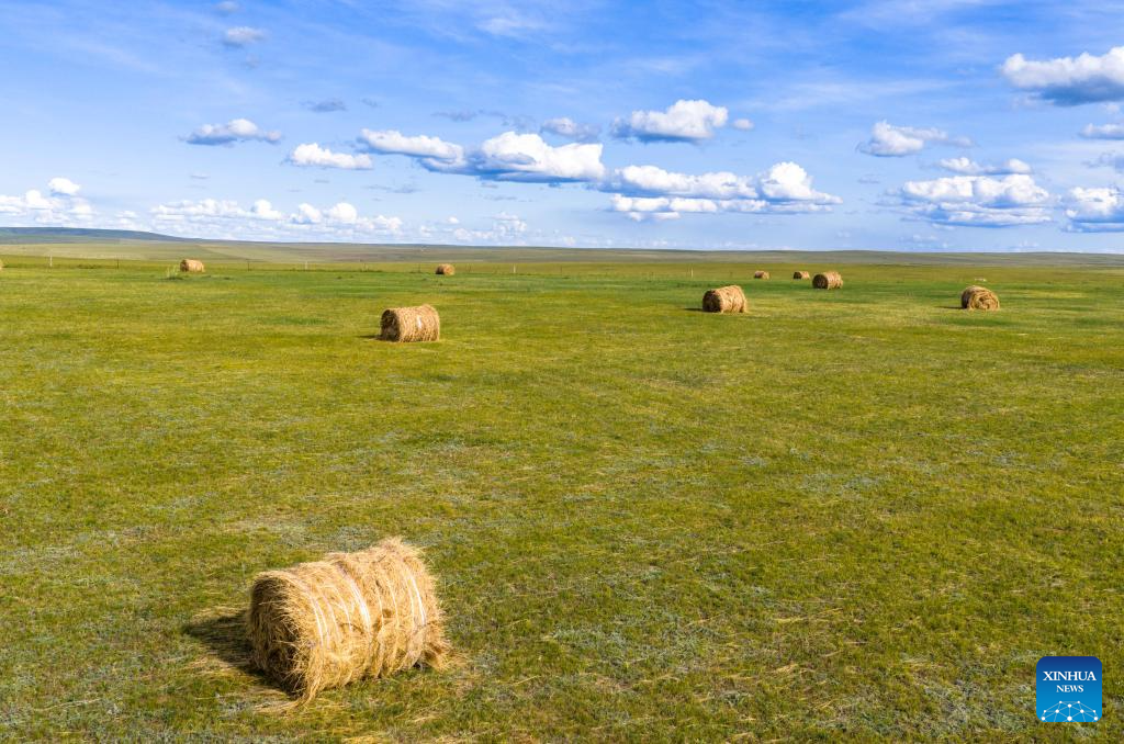 View of grassland in Hulun Buir, N China's Inner Mongolia