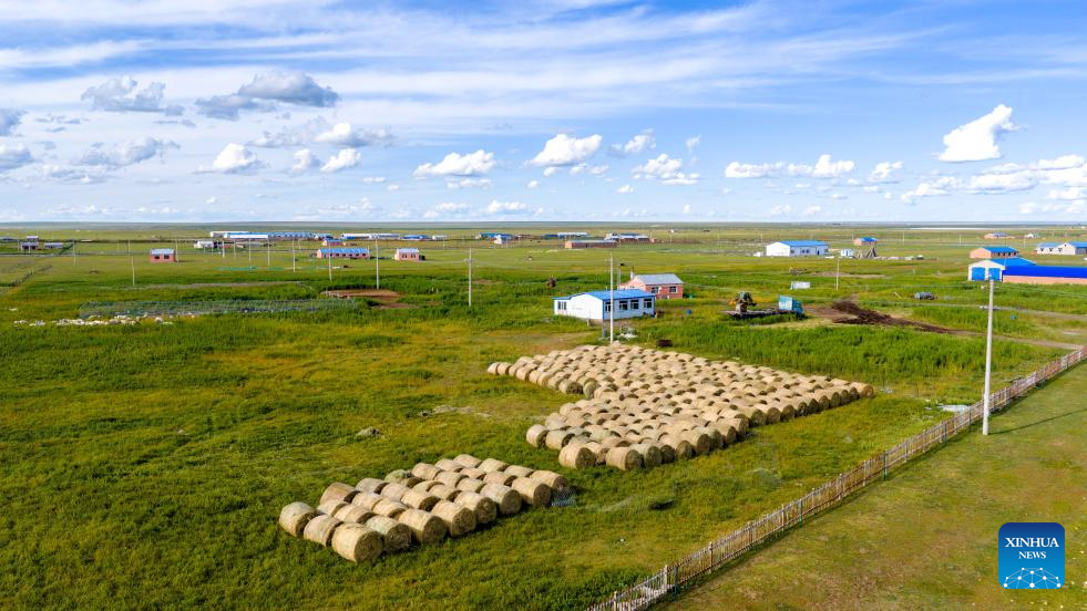 View of grassland in Hulun Buir, N China's Inner Mongolia