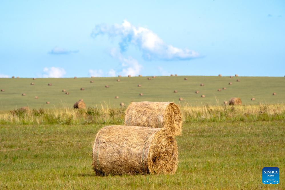 View of grassland in Hulun Buir, N China's Inner Mongolia