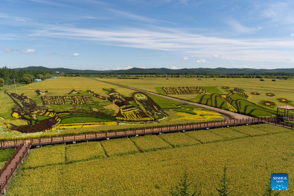 Intangible cultural heritages fuel economic shift of ethnic township in NE China