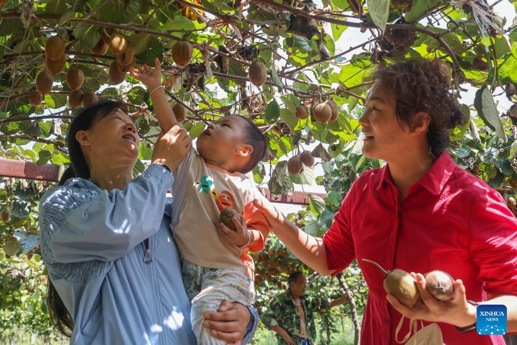 People enjoy tours across China