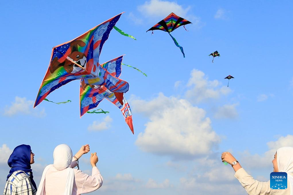 Kite festival marked in Lebanon