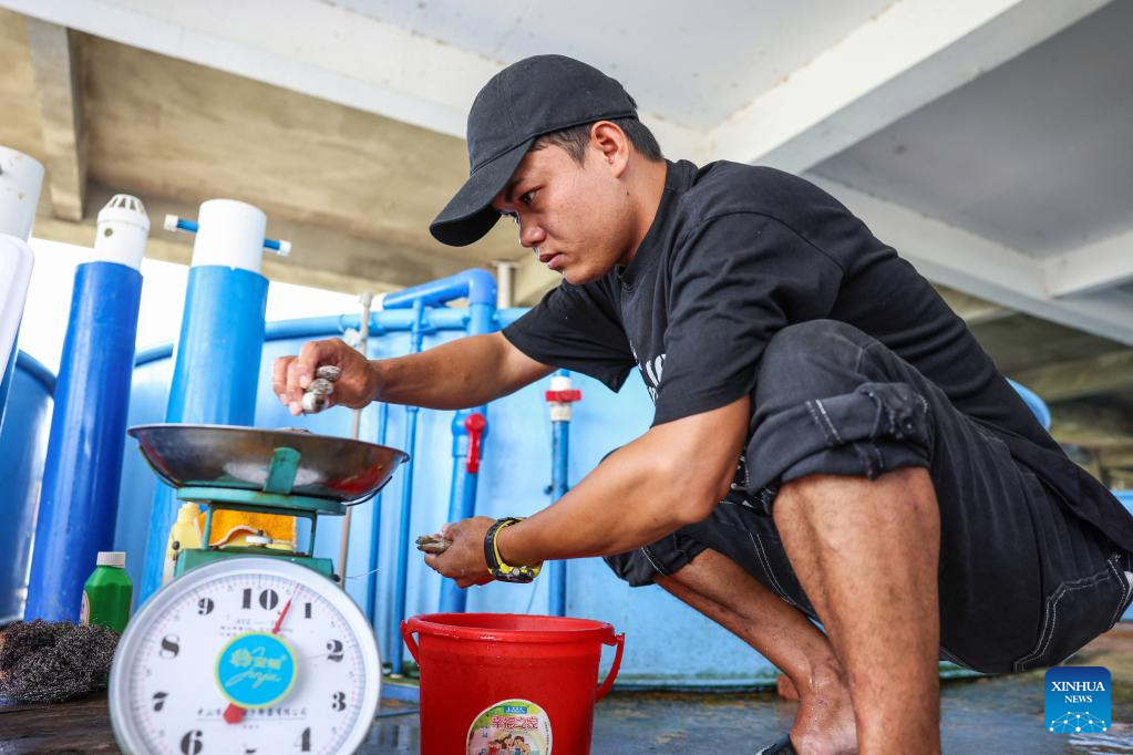Stranded dolphin recovers well under care of rescue team in Hainan