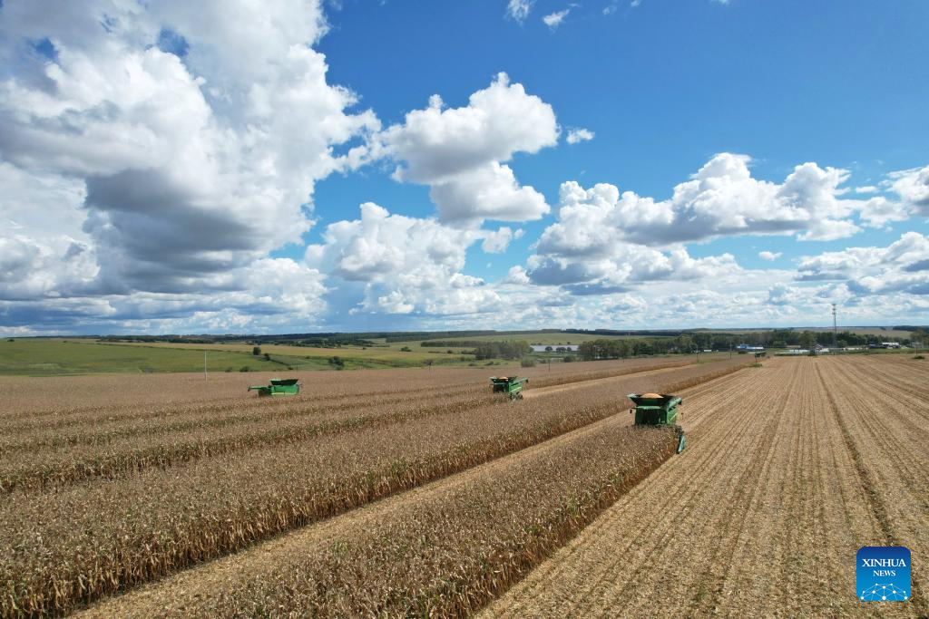 Autumn harvest in full swing in E China