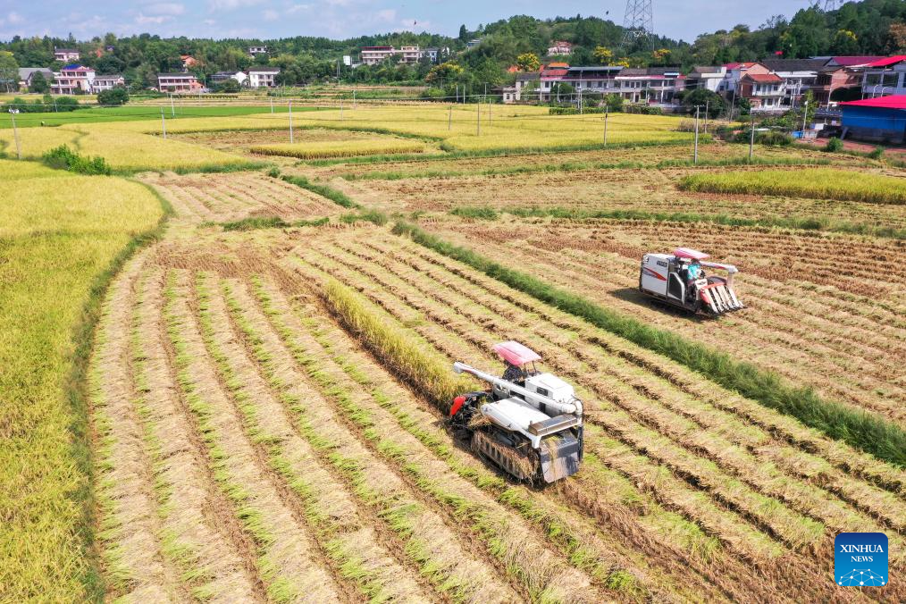 Autumn harvest in full swing in E China