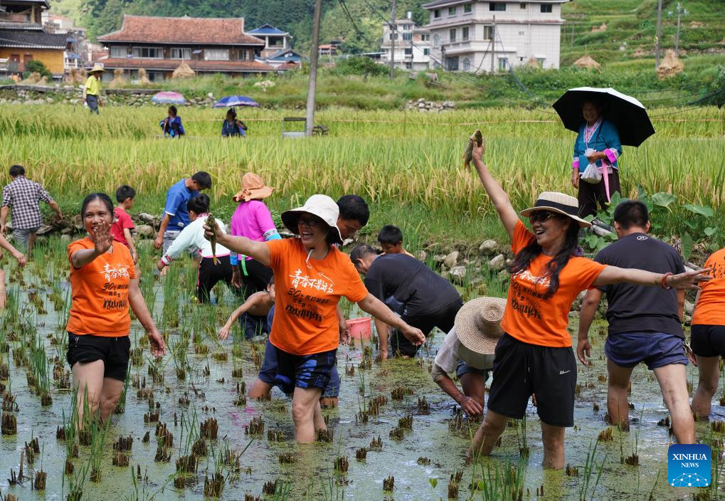 People enjoy golden autumn on weekend getaways across China