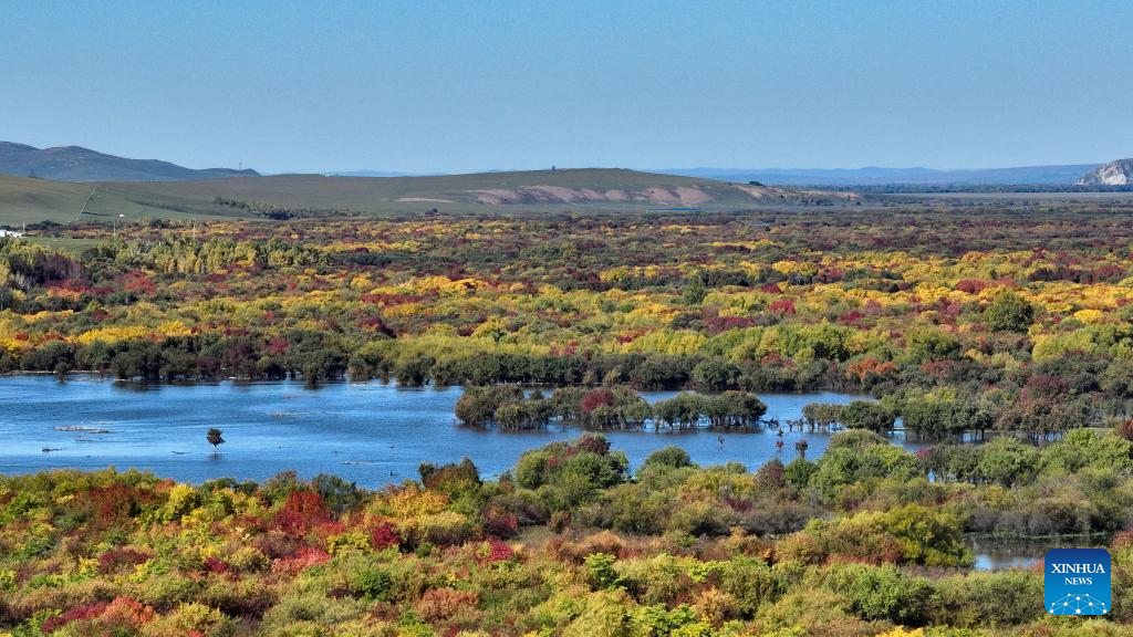 View of wetland around Ergune River in China's Inner Mongolia