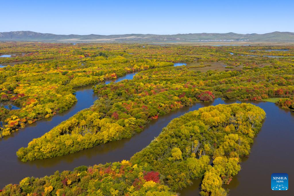 View of wetland around Ergune River in China's Inner Mongolia