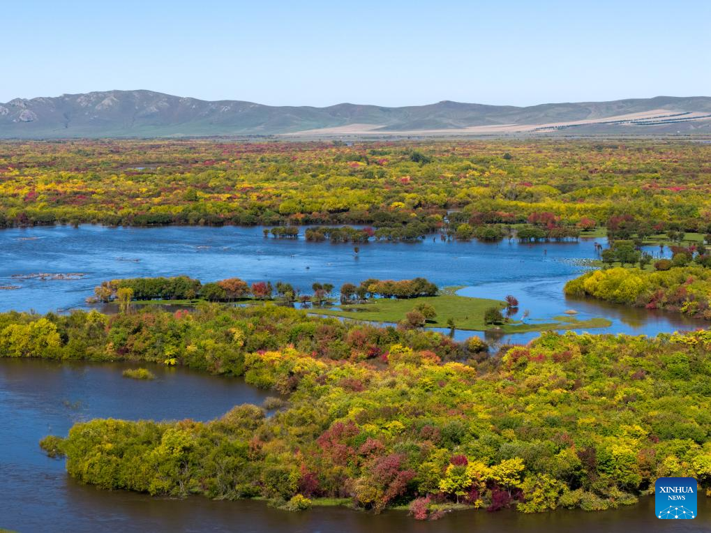 View of wetland around Ergune River in China's Inner Mongolia