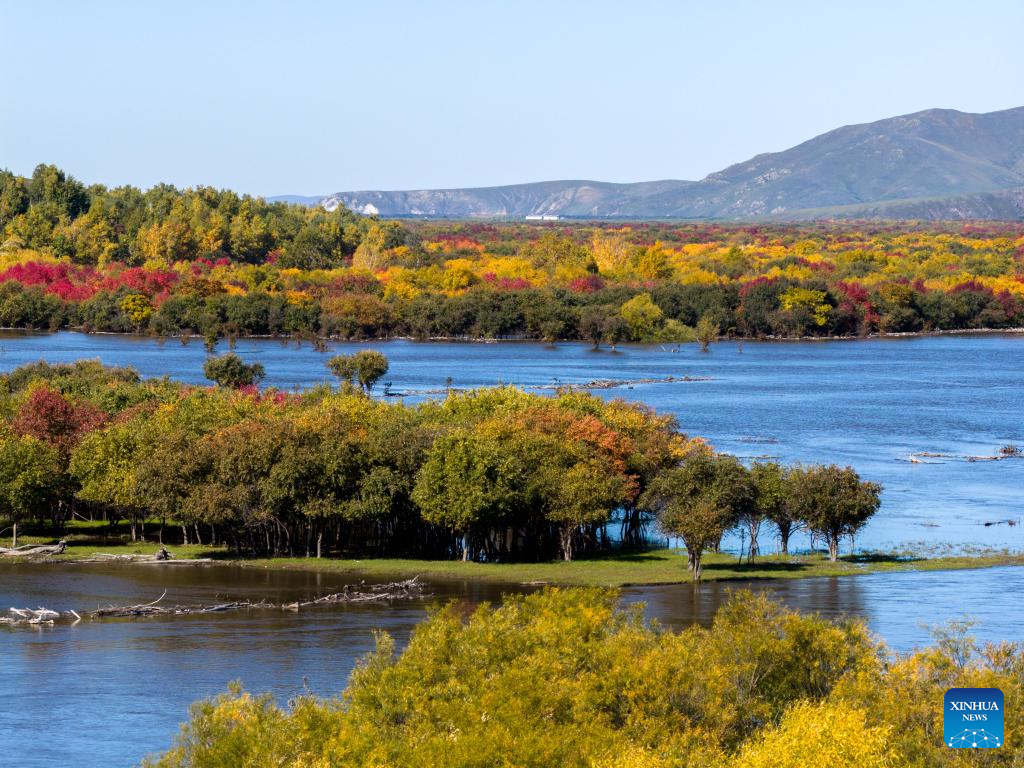 View of wetland around Ergune River in China's Inner Mongolia