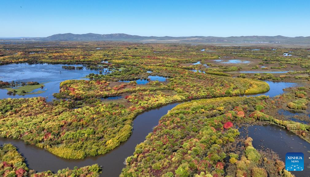 View of wetland around Ergune River in China's Inner Mongolia