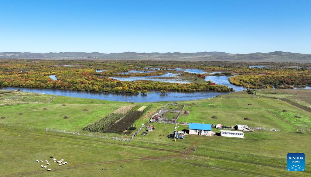 View of wetland around Ergune River in China's Inner Mongolia