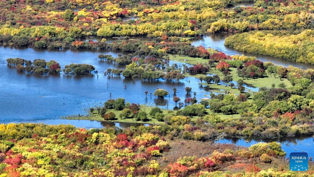 View of wetland around Ergune River in China's Inner Mongolia