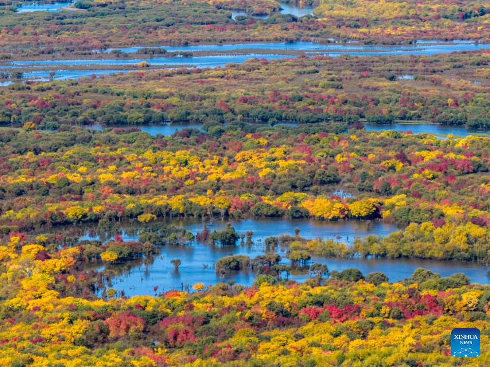 View of wetland around Ergune River in China's Inner Mongolia