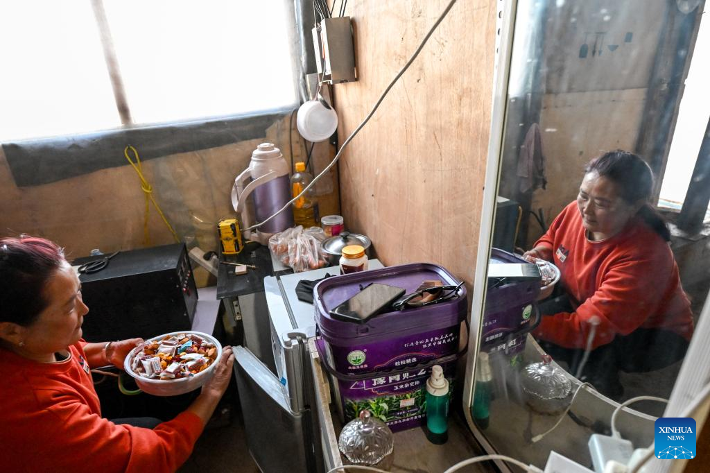 Herders lead livestock migrations with modern conveniences in China's Inner Mongolia