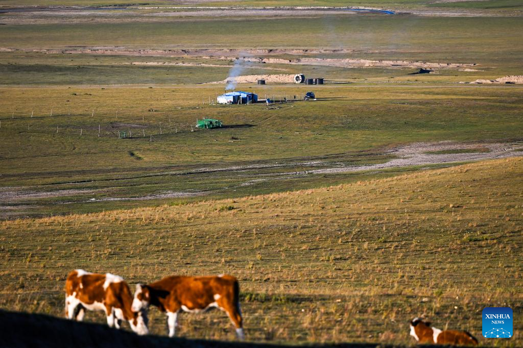 Herders lead livestock migrations with modern conveniences in China's Inner Mongolia