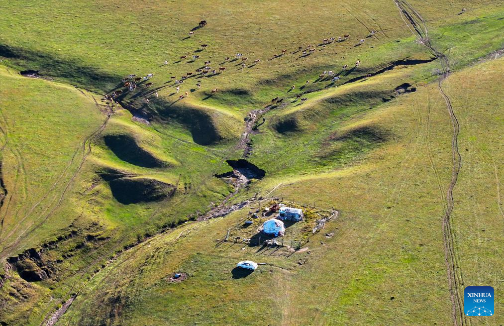 Herders lead livestock migrations with modern conveniences in China's Inner Mongolia