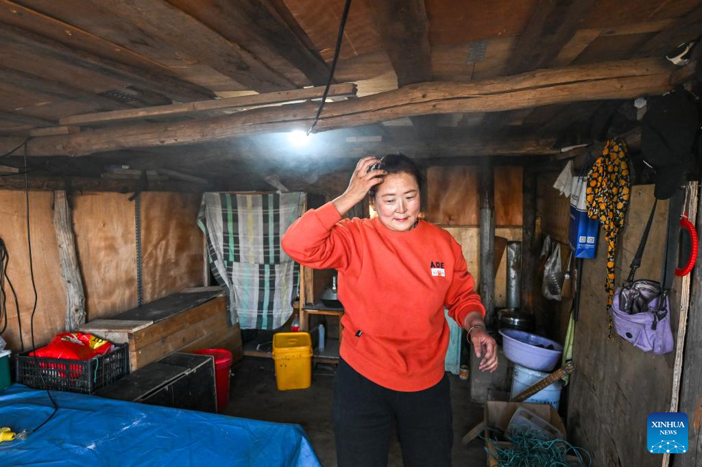 Herders lead livestock migrations with modern conveniences in China's Inner Mongolia