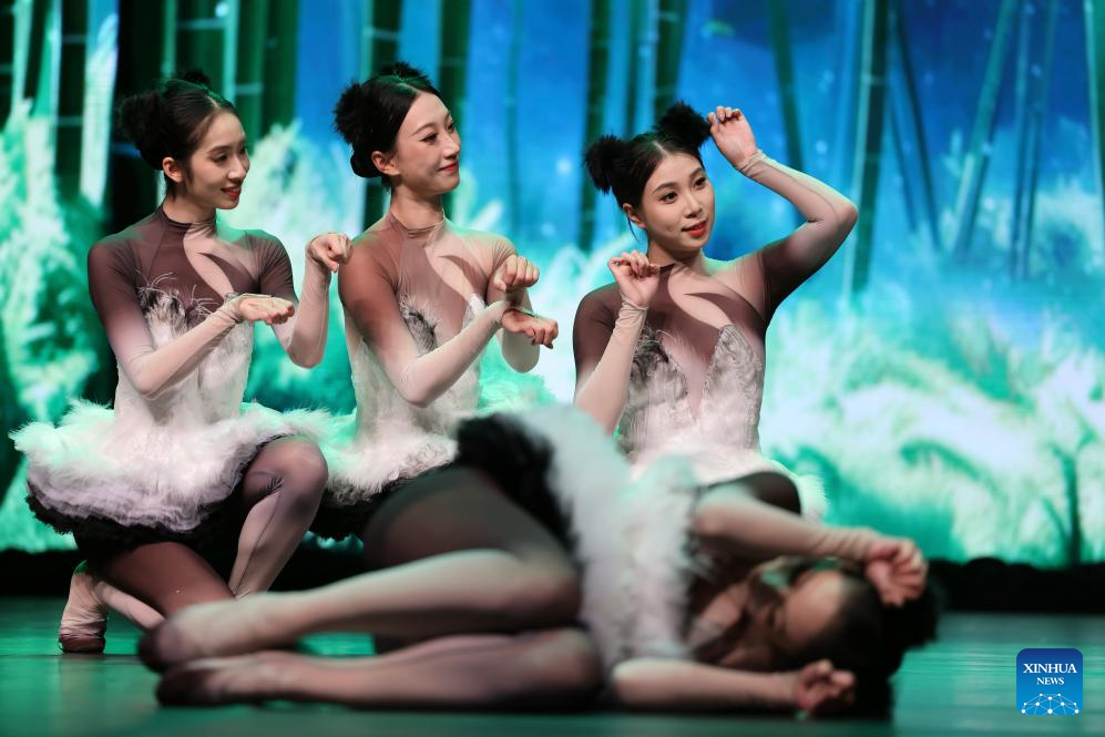 Chinese art troupe performs in Manama, Bahrain