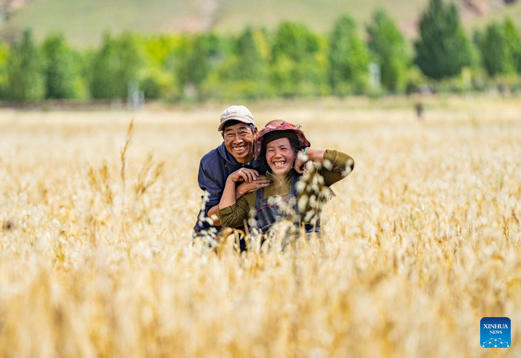 Farmers' harvest festival marked in China's Xizang