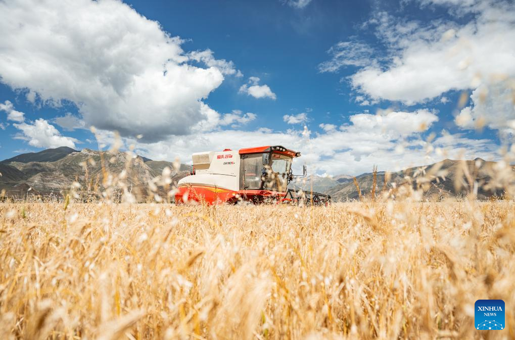 Farmers' harvest festival marked in China's Xizang