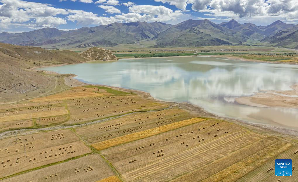 Farmers' harvest festival marked in China's Xizang