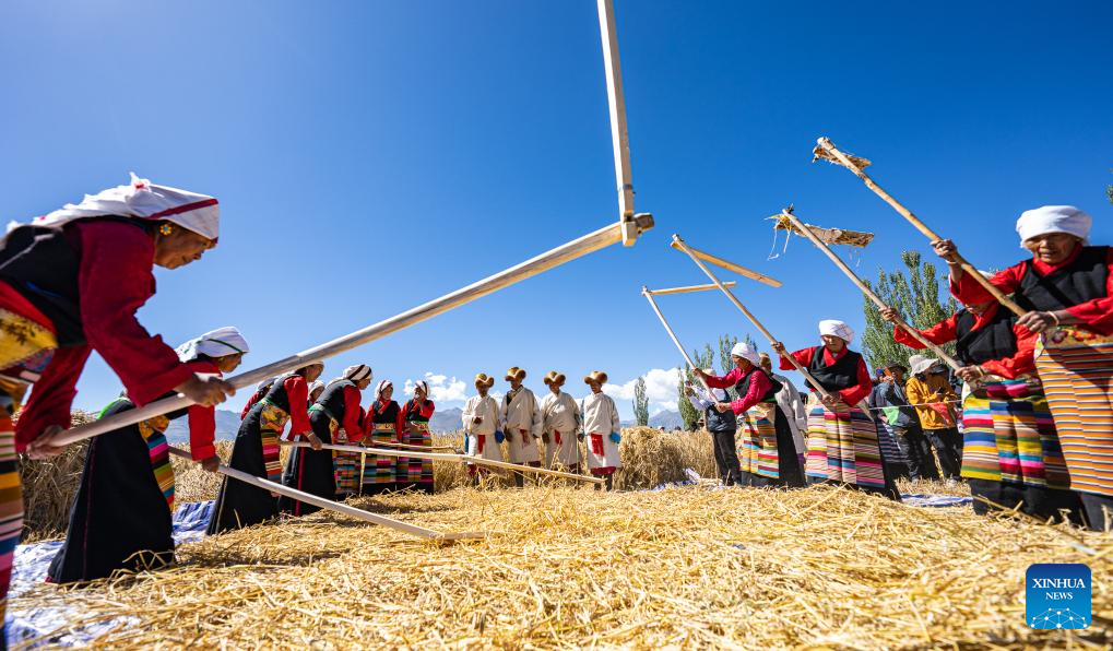 Farmers' harvest festival marked in China's Xizang