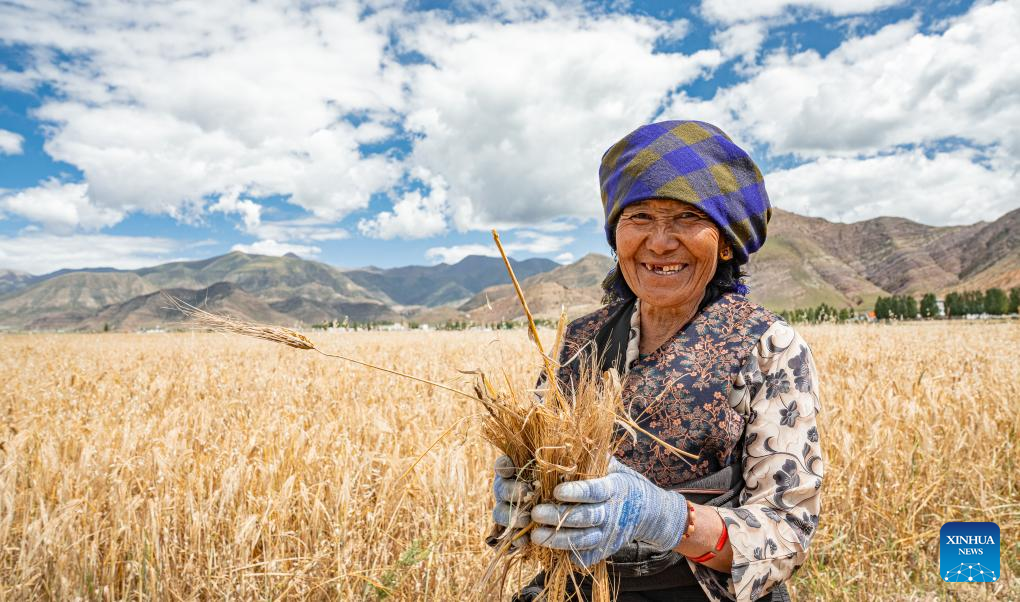 Farmers' harvest festival marked in China's Xizang