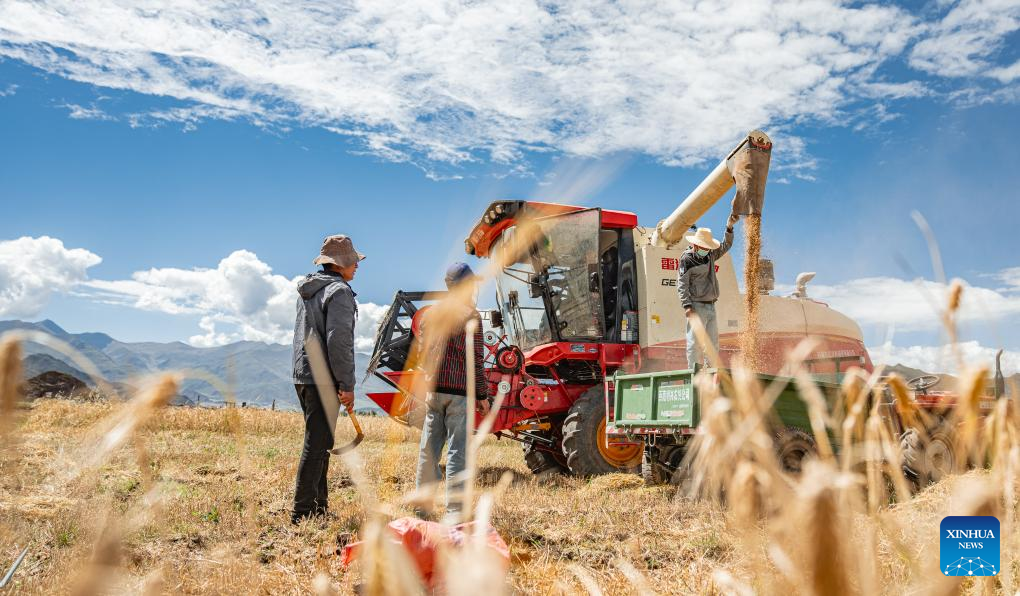 Farmers' harvest festival marked in China's Xizang