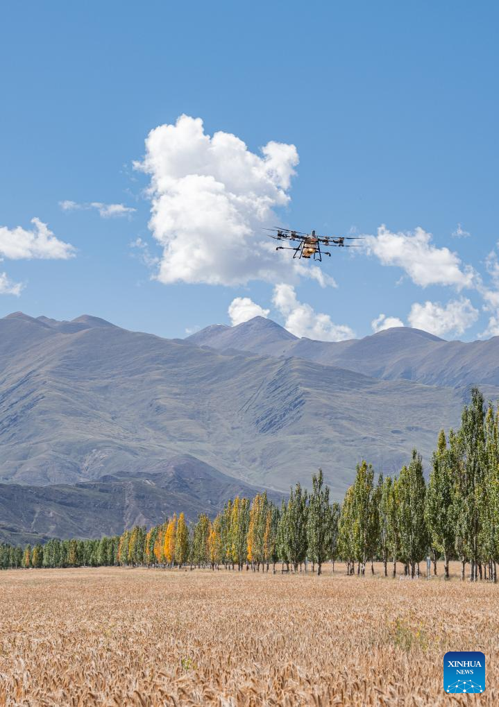 Farmers' harvest festival marked in China's Xizang