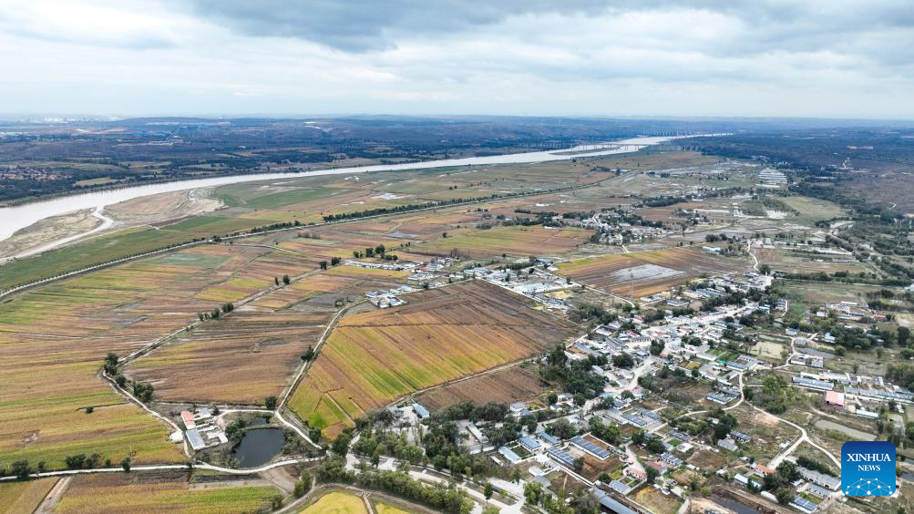 Aerial view of paddy fields in Jungar Banner of Ordos, China's Inner Mongolia
