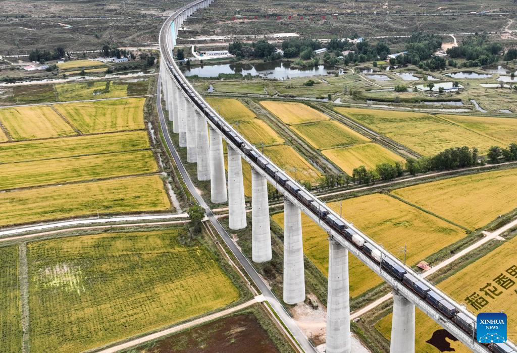 Aerial view of paddy fields in Jungar Banner of Ordos, China's Inner Mongolia