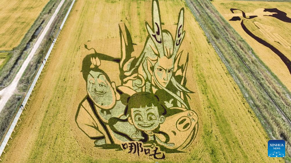 Aerial view of paddy fields in Jungar Banner of Ordos, China's Inner Mongolia