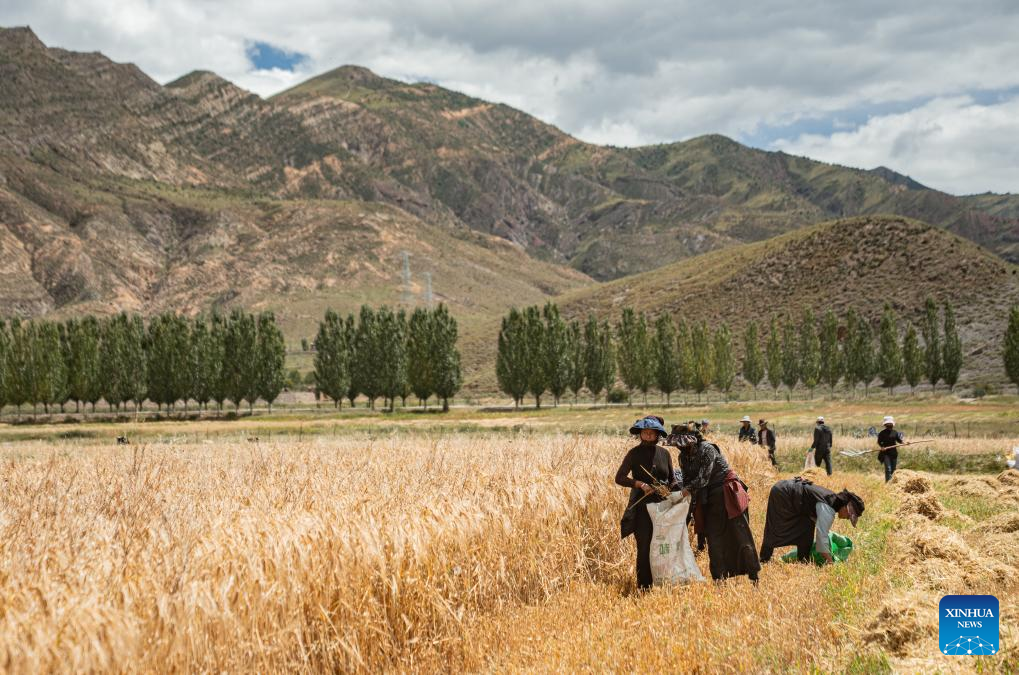 Farmers' harvest festival marked in China's Xizang