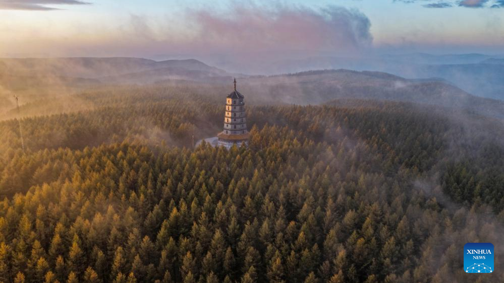 Autumn scenery of Saihanba National Forest Park in Chengde, N China