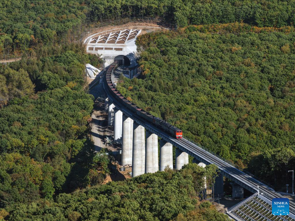Upgrade of railway linking Suifenhe, China-Russia border completed