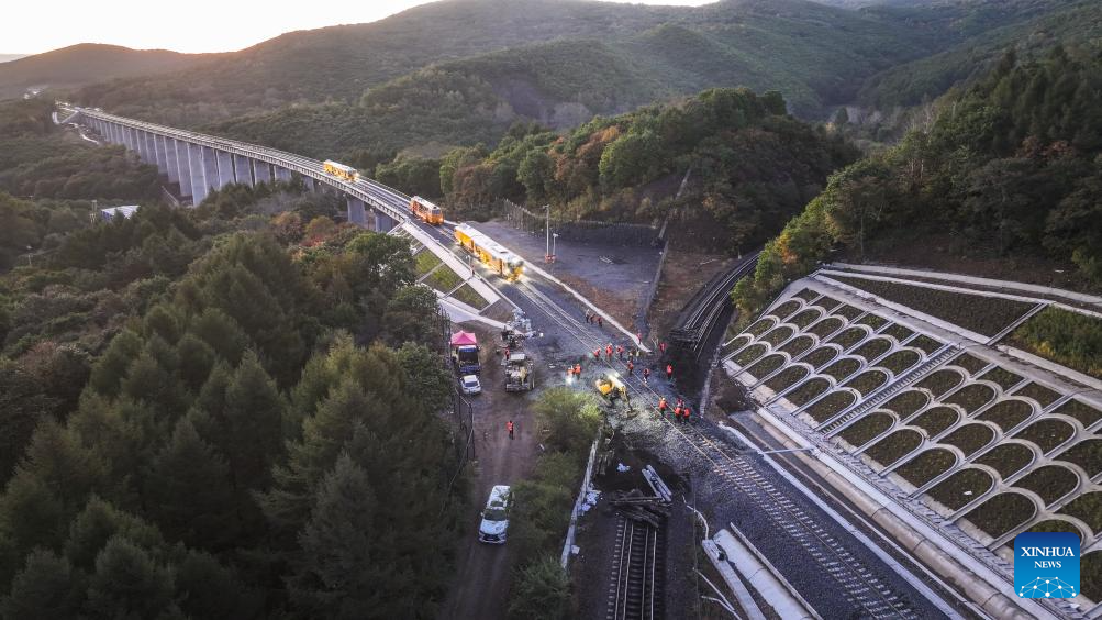 Upgrade of railway linking Suifenhe, China-Russia border completed