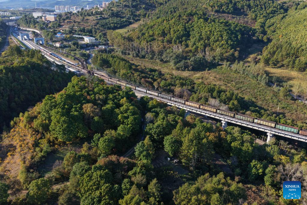Upgrade of railway linking Suifenhe, China-Russia border completed